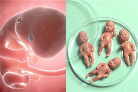 关于包生男孩助孕机构代生供卵医院